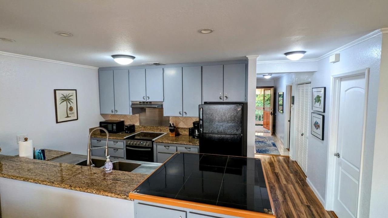 Seaspray Oceanview Apartment Кайлуа Кона Екстериор снимка